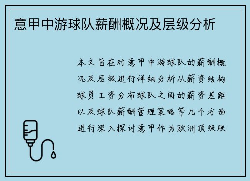 意甲中游球队薪酬概况及层级分析
