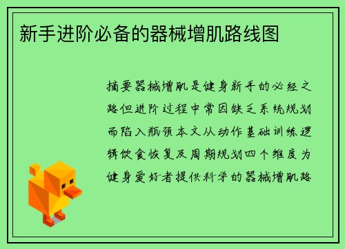 新手进阶必备的器械增肌路线图